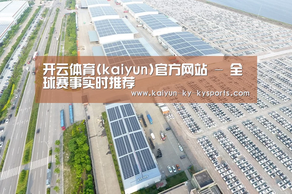 案例展示三