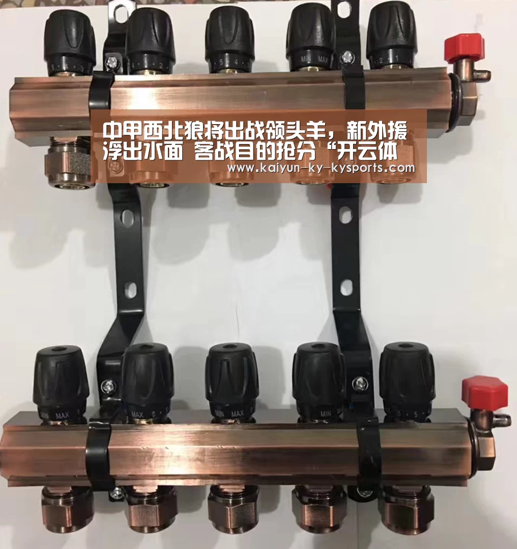 中甲西北狼将出战领头羊,新外援浮出水面 客战目的抢分“开云体育app下载”(图1) 开云体育官方下载