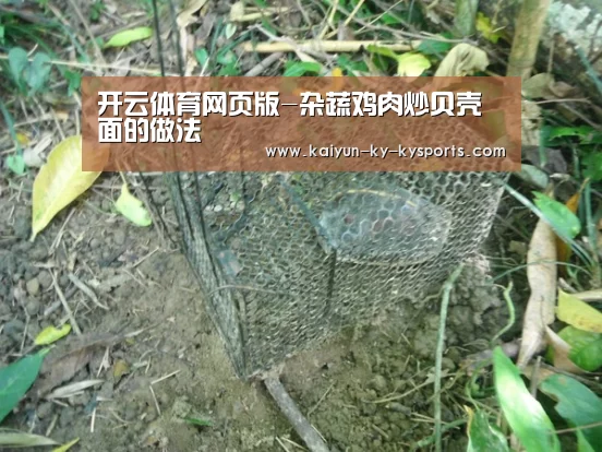 开云体育网页版-杂蔬鸡肉炒贝壳面的做法(图3) kaiyun中国官网