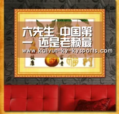 开云体育官方入口