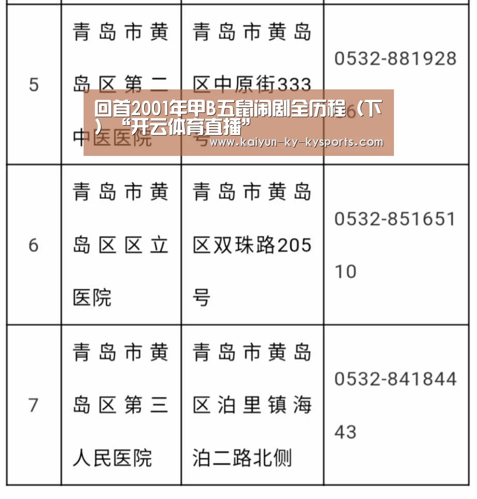 回首2001年甲B五鼠闹剧全历程(下)“开云体育直播”(图2) 开云体育平台