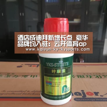 开云体育登录入口
